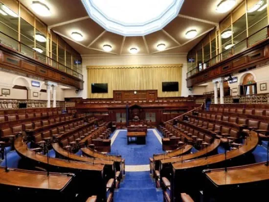 To bot or not? – Are AI chatbots about to transform political communications in Ireland?